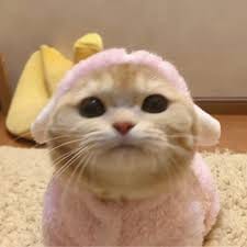 Hoàng Văn Thụ avatar